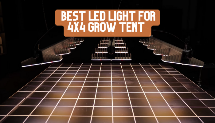 Best LED Light for 4X4 Grow Tent Review