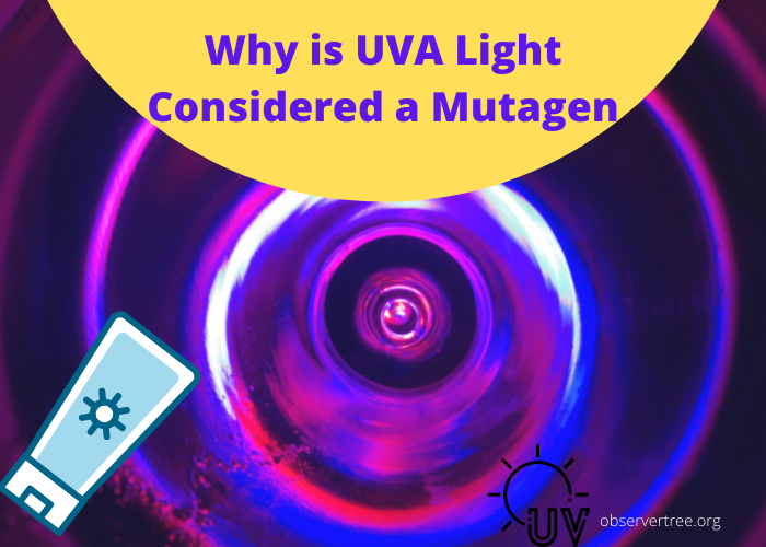Why is UVA Light Considered a Mutagen