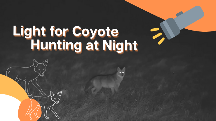 Best Light for Coyote Hunting at Night