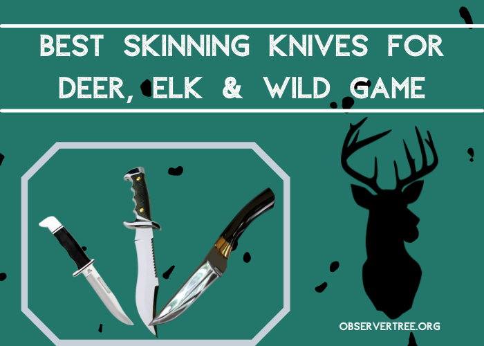 Best Skinning Knives for Deer Elk Wild Game