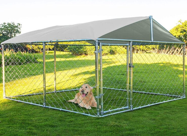 Dog House or Enclosure 1