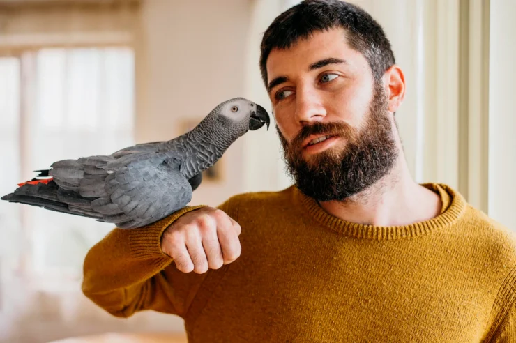 bird owner