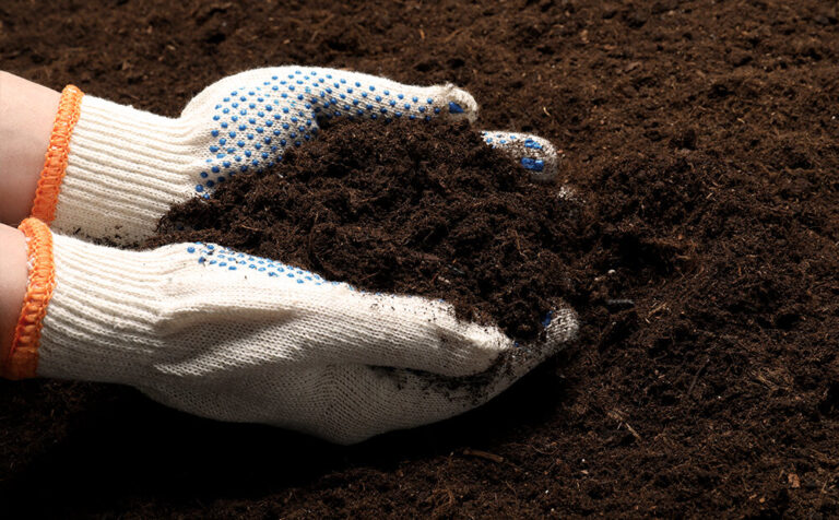 dammanns garden science of composting gloves soil