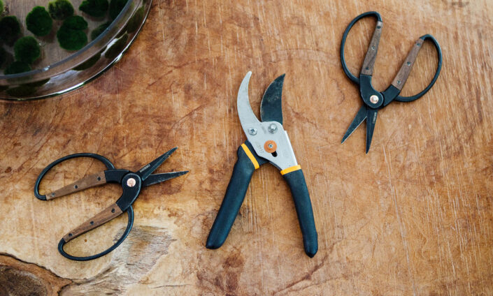 pruningshears